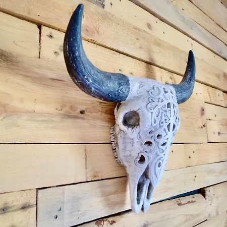 La Company Des Concierges : Le Way Appartement